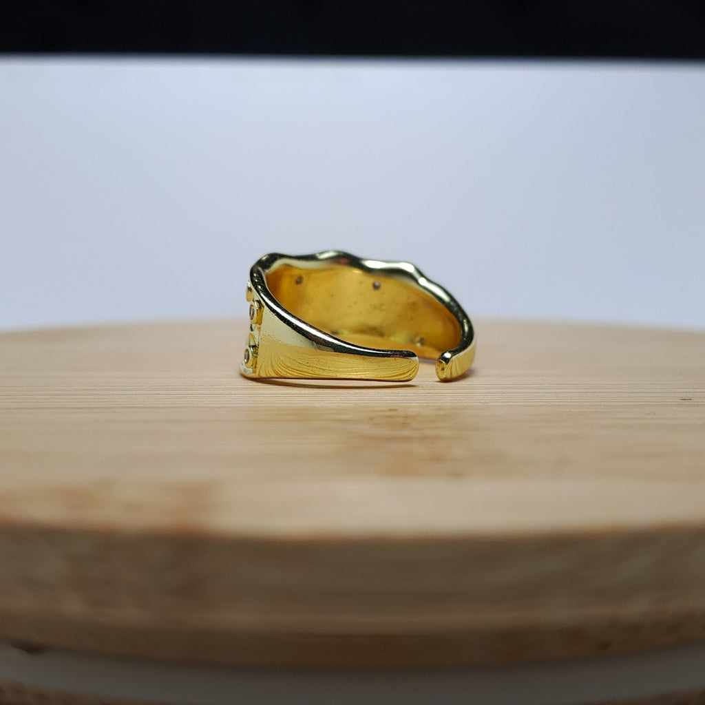 Anillo 01