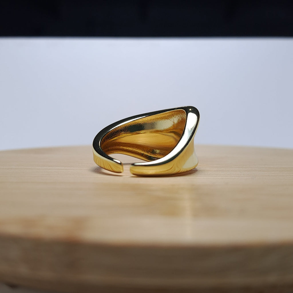 Anillo 02