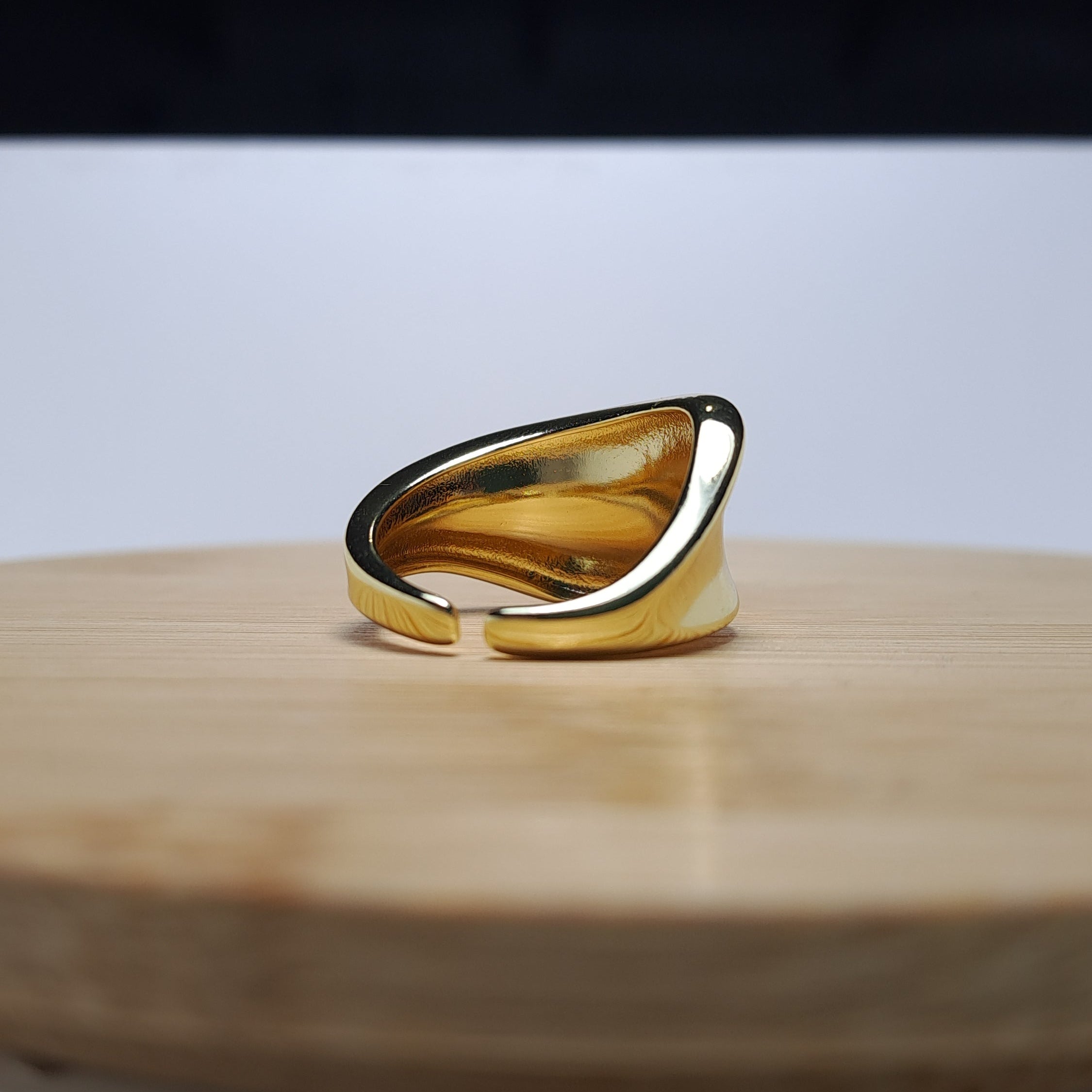 Anillo 02