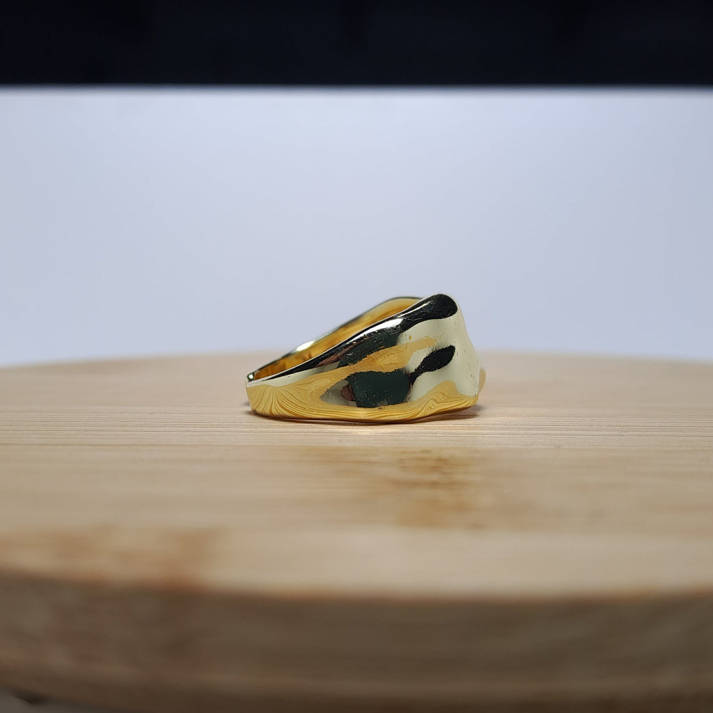 Anillo 03